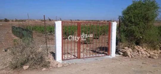 أرض فلاحية - 3