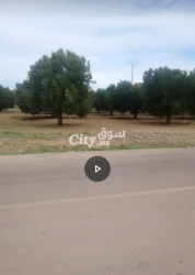 5 hectares dans la ville de Fès - 2