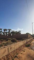 أرض محفظة للبيع - 2