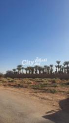 أرض محفظة للبيع - 3