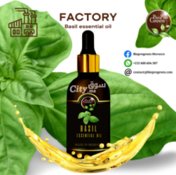 The magic basil oil - 2