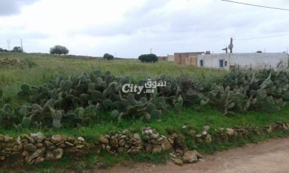 أرض للبيع فيها دار الملكية للبيع - 6