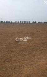 أيت عبو الخميسات - 2