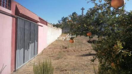 ارض بسكن في جماعة عرباوة - 3