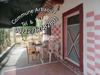 أرض بسكن في جماعة عرباوة